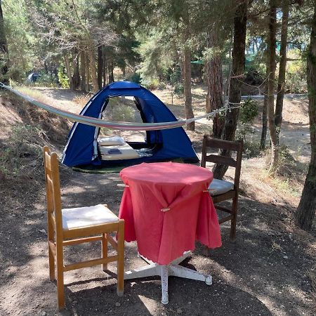 Drolma Ling Nature Cabins Теологос Экстерьер фото