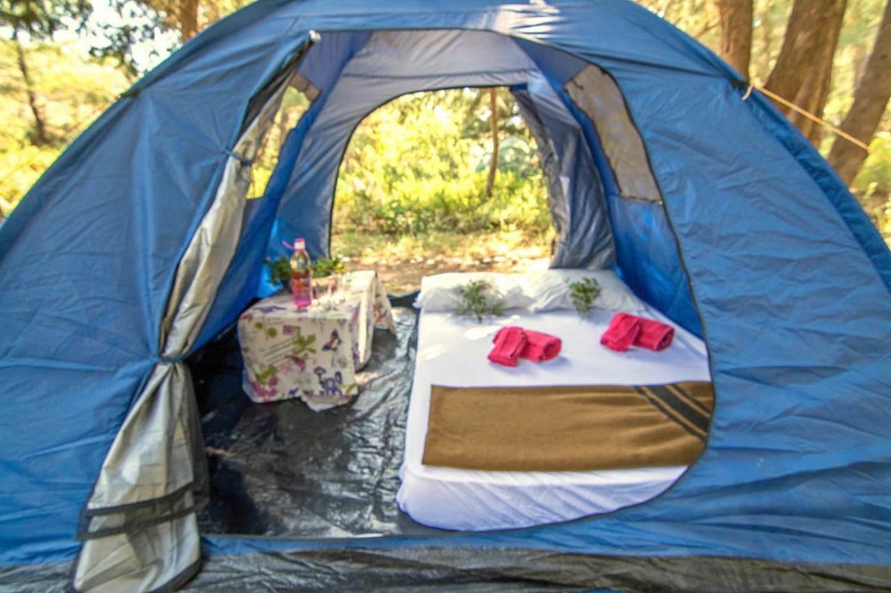 Drolma Ling Nature Cabins Теологос Экстерьер фото