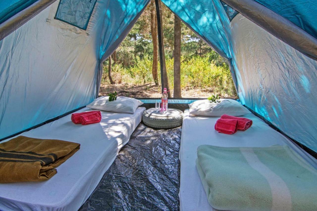 Drolma Ling Nature Cabins Теологос Экстерьер фото