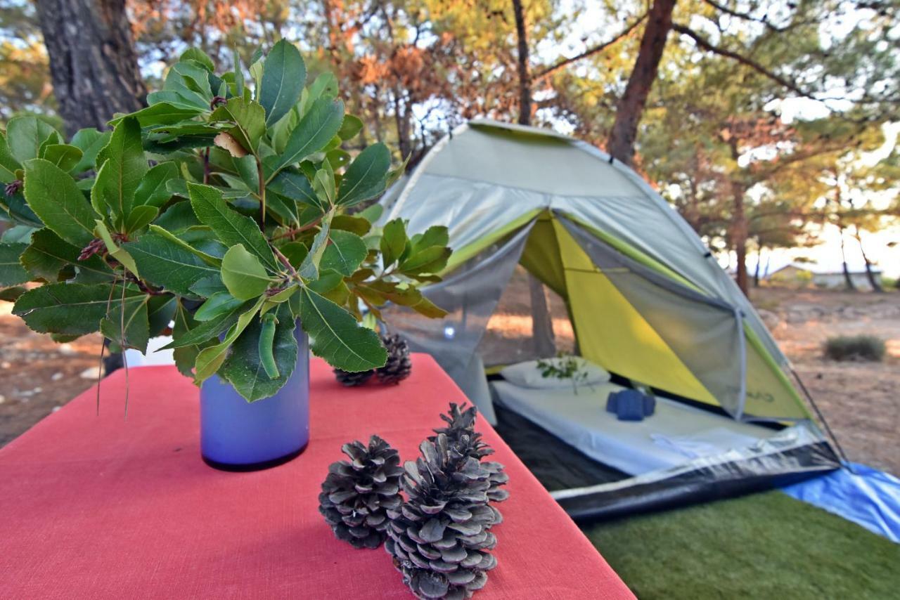 Drolma Ling Nature Cabins Теологос Экстерьер фото